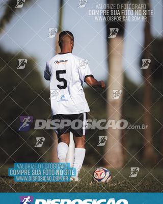Foto 6591531