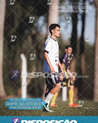 Foto 6591513