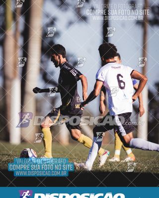 Foto 6591494