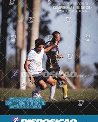 Foto 6591484