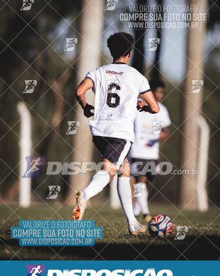 Foto 6591447
