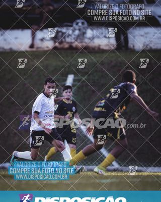 Foto 6591403