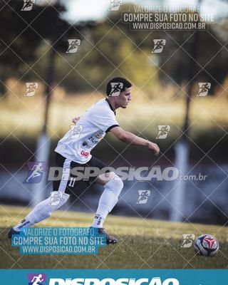 Foto 6591372