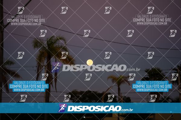 Foto 6586937