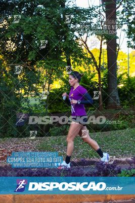 Foto 6625020
