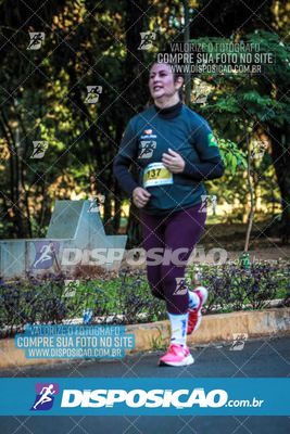 Foto 6647582