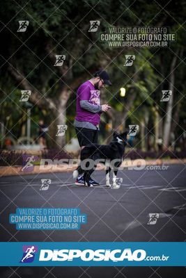 Foto 6594094