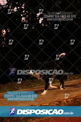 Foto 6603838