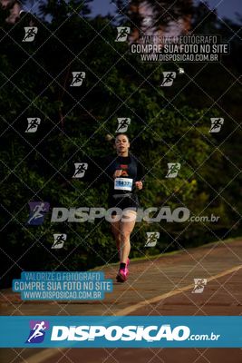 Foto 6598542