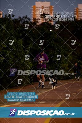 Foto 6598579