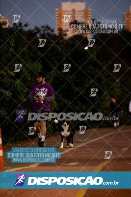 Foto 6598581