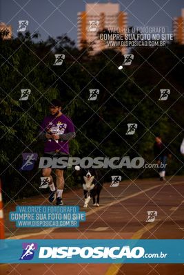 Foto 6598577