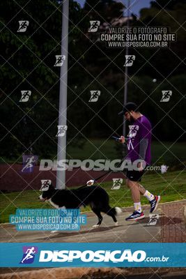 Foto 6598584