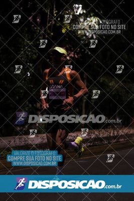 Foto 6631278