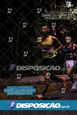 Foto 6631286