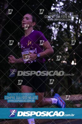 Foto 6631628