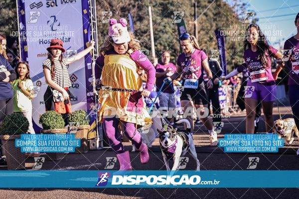Foto 6648827
