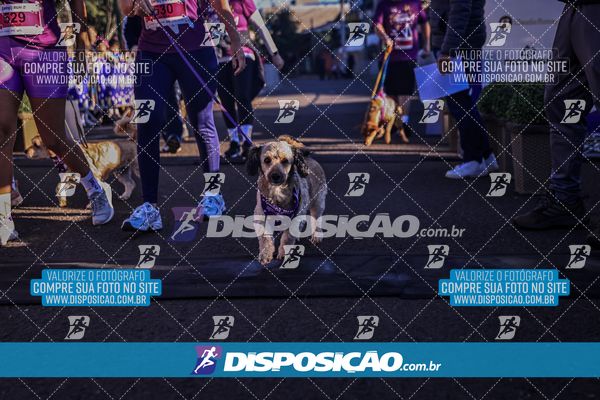 Foto 6648836