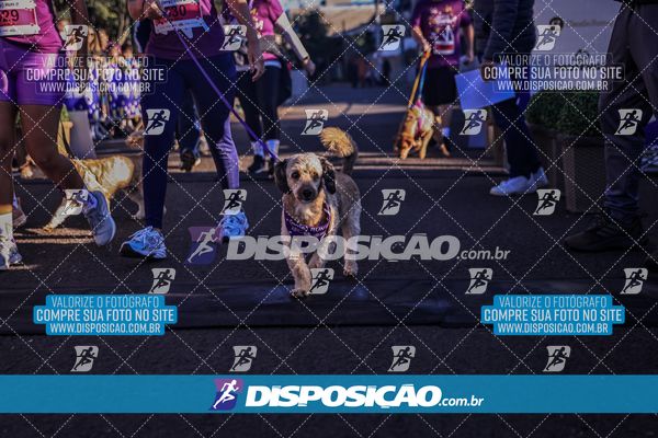 Foto 6648843
