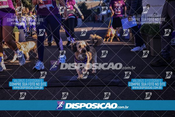 Foto 6648835