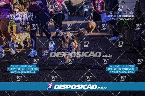 Foto 6648837
