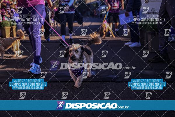 Foto 6648840
