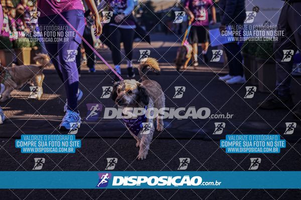 Foto 6648844