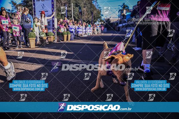 Foto 6648851