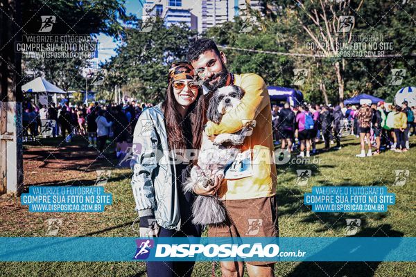 Foto 6649700