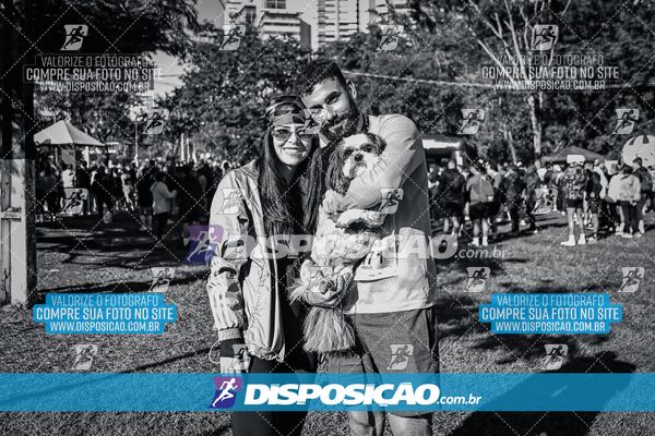 Foto 6649702