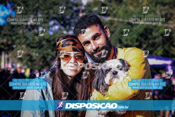 Foto 6649703