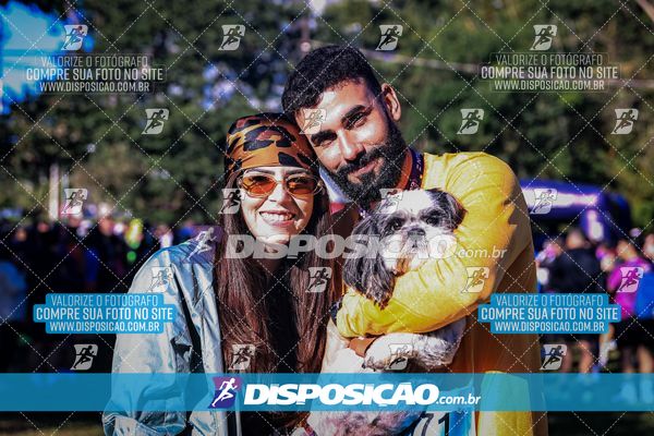 Foto 6649704