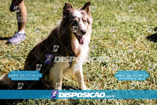 Foto 6633048