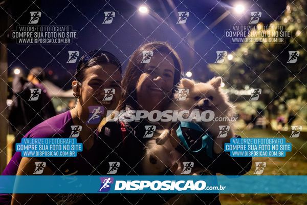 Foto 6633064