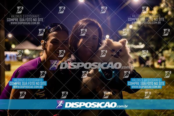 Foto 6633065