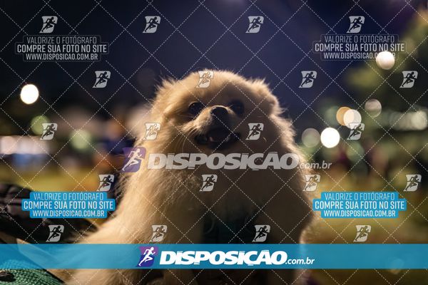 Foto 6633068