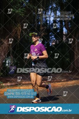 Foto 6604893