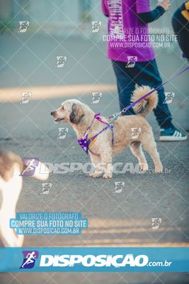 Foto 6621804