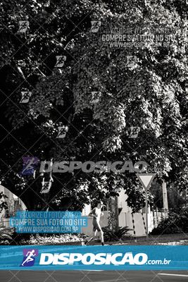 Foto 6652055