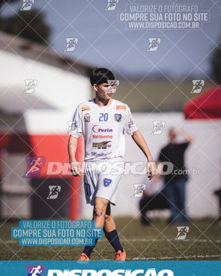 Foto 6668266