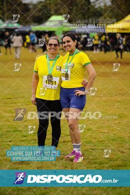 Foto 6673819