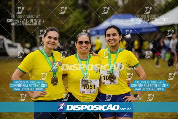 Foto 6673824
