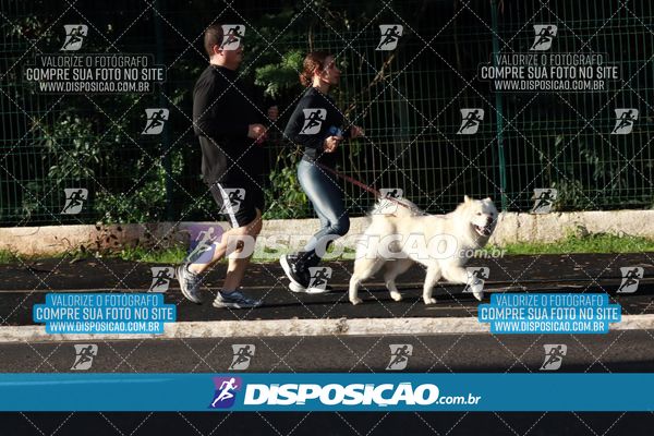 Foto 6753901