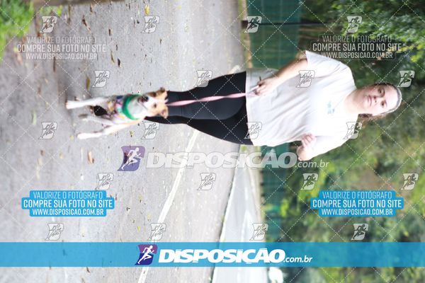 Foto 6754096