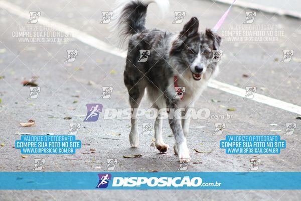 Foto 6754092