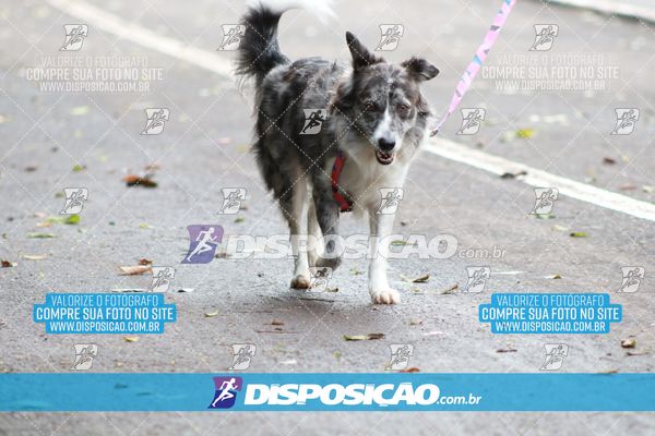 Foto 6754098