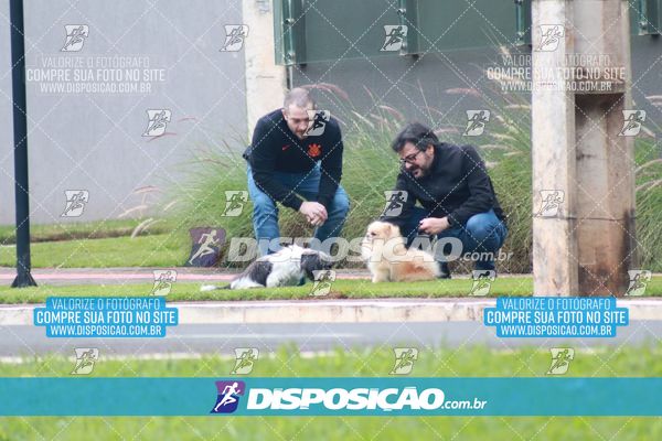 Foto 6754156