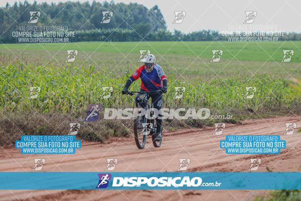 Foto 6804211