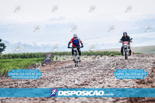Foto 6807167