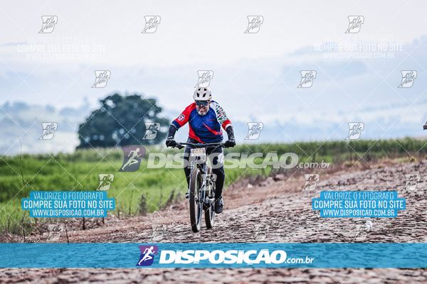 Foto 6807171